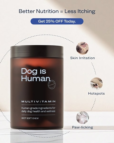 This creative uses a direct problem-solution approach, identifying common pet skin issues and positioning the multivitamin as the nutritional fix.